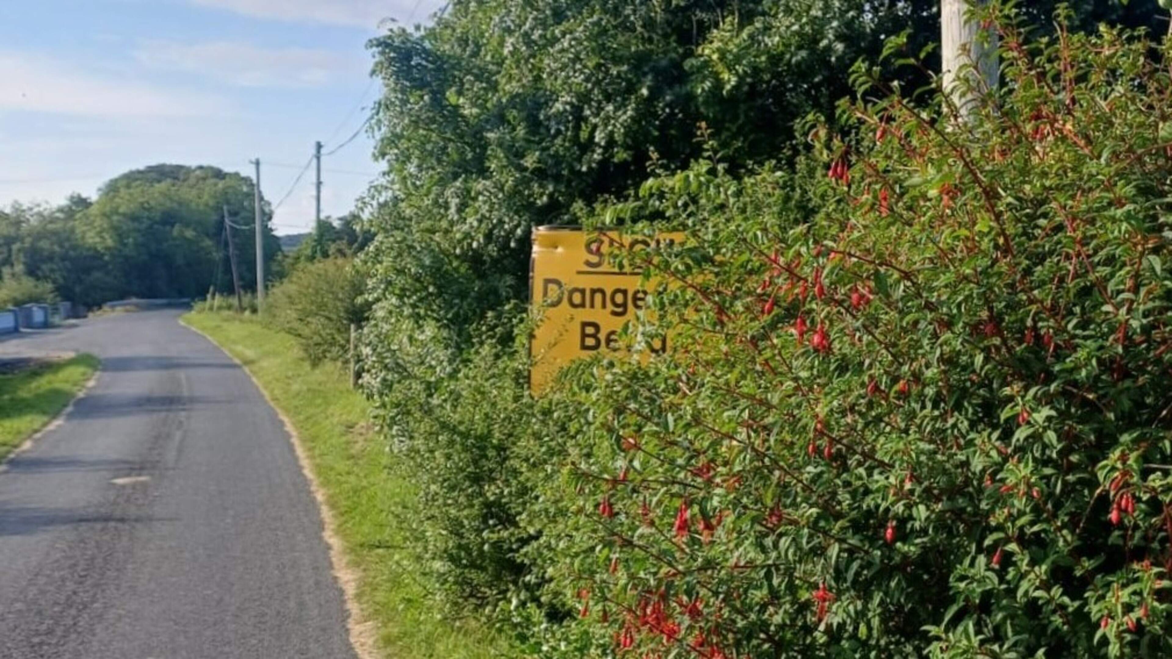 Roadside cutting restrictions putting rural road users ‘in danger’, Mayo councillors claim